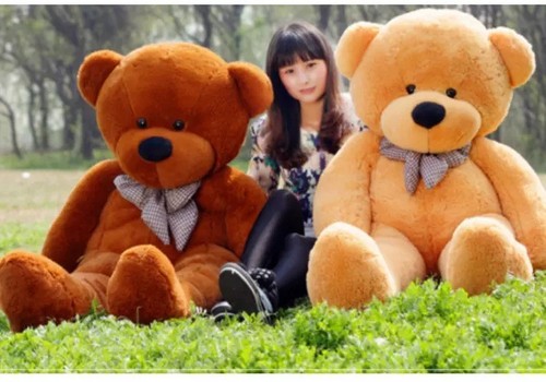 Large teddy bear - teddy,