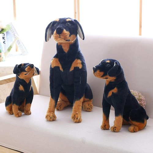 50cm large sitting rottweiler - 50cm,