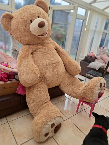 Giant teddy bear - 8ft, huge
