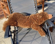 Wild Republic Plush Giant