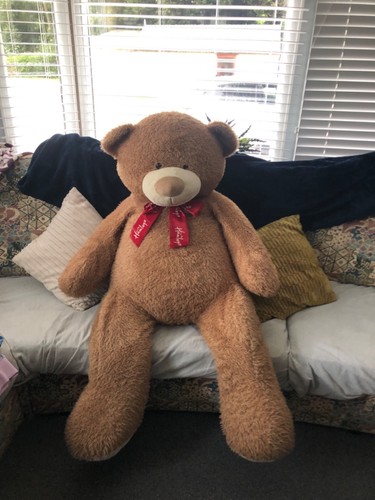Giant hamleys teddy - hamleys, bear