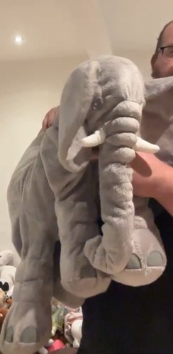 Giant elephant teddy - giant, bear