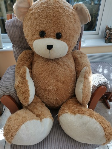 Giant teddy bear - giant,
