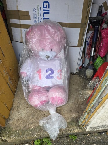 Giant teddy bear - teddy, large
